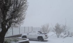 زائر أبيض يمدد الشتاء في مناطق كوردستانية